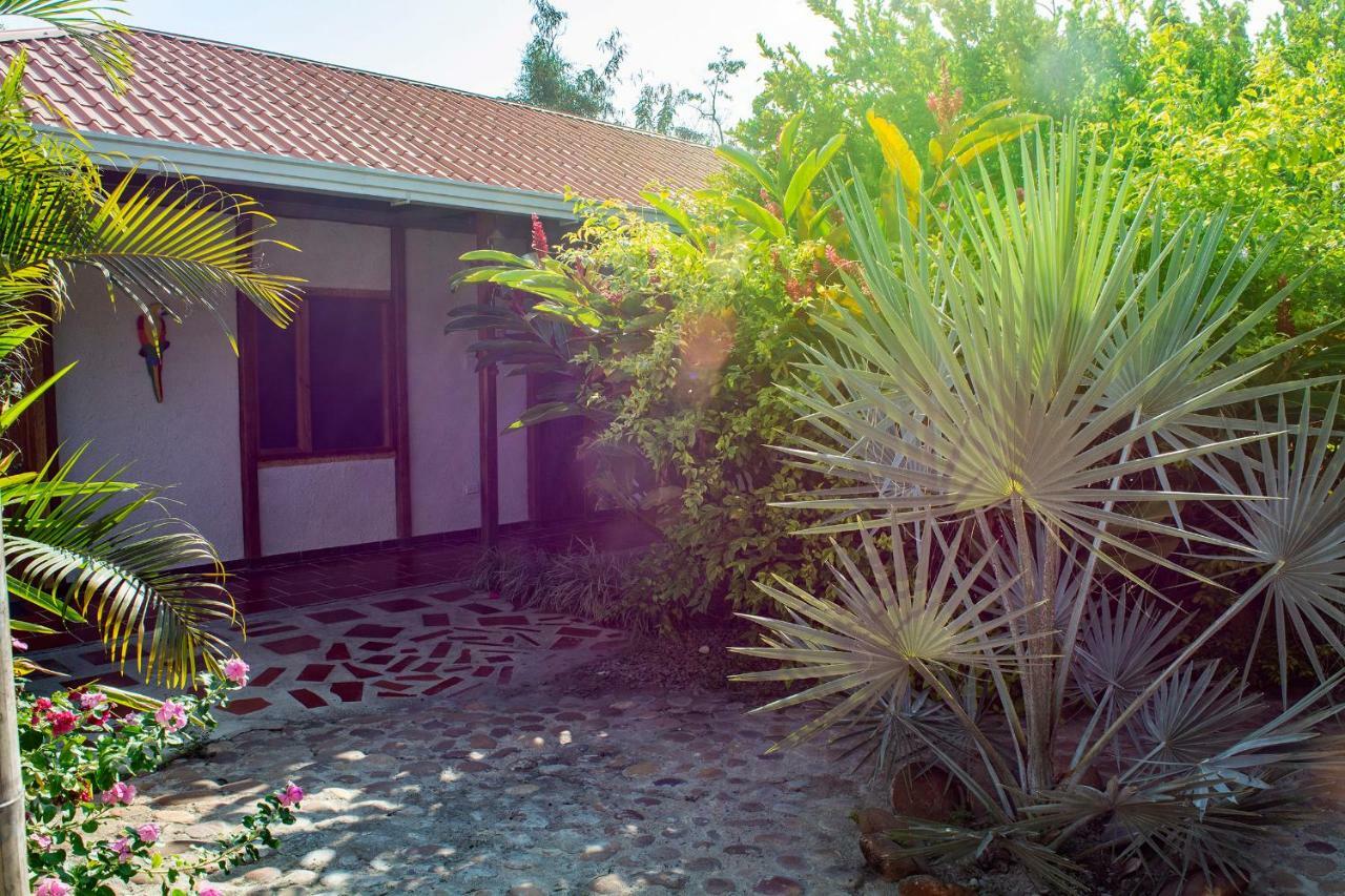 Hostal El Ruby Villavieja Exterior foto